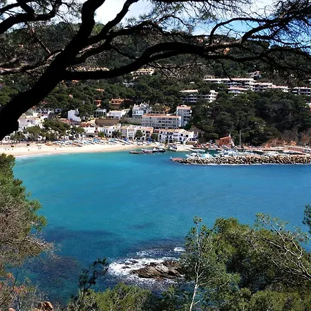 Capdevila 9 *