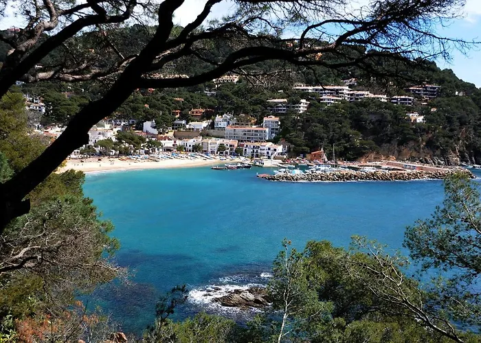 Capdevila 9 *